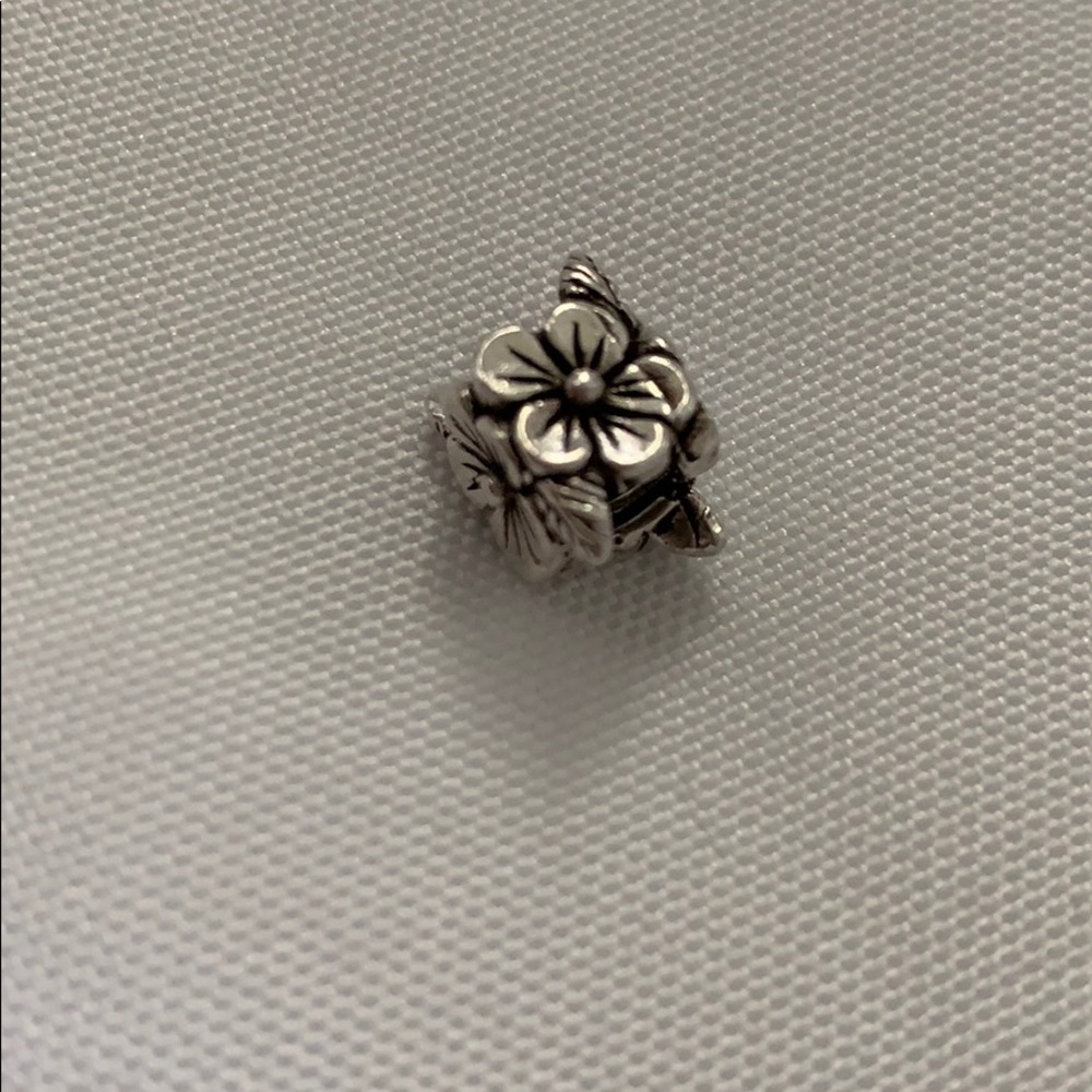 Charm - Picture 2 of 3